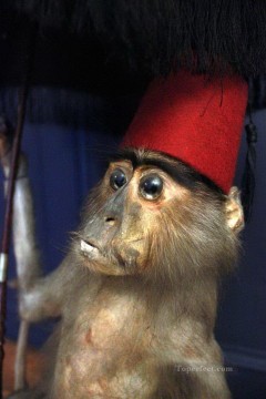 Animal Painting - little monkey with red hat